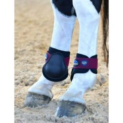 Weatherbeeta Tough-Tec Prime Fetlock Boots - Black/Burgundy 7 Weatherbeeta Tough-Tec Prime Fetlock Boots - Black/Burgundy -Tack Of The Day Store 1000945 800 800