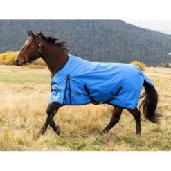 Weatherbeeta Comfitec Original Standard Neck Lite - Blue/Black