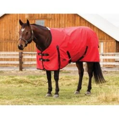 Weatherbeeta Comfitec Original Standard Neck Medium - Red/Black