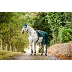 Horseware Classic Brushing Boots - Dynasty Green 9 Horseware Classic Brushing Boots - Dynasty Green -Tack Of The Day Store 1008449 800 800