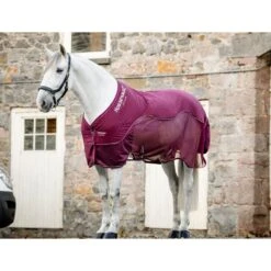 Horseware Signature Travel Cooler - Burgundy