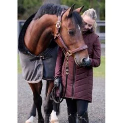 Kerrits Women's Elevation Insulated Vest - Redwood -Tack Of The Day Store 1009366 800 800