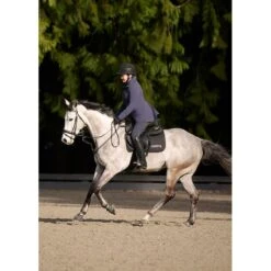 Kerrits Women's Fleece Lite II Knee Patch Tights - Galaxy Blue -Tack Of The Day Store 1013824 800 800