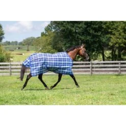 TuffRider Texilene FlyShield Sheet - Sky Blue