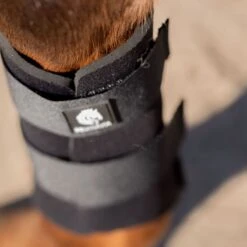 Equinavia Balder Brushing Boots - Black -Tack Of The Day Store 1038166 800 800