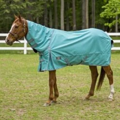TuffRider 1200 D Comfy Detachable Neck Turnout Sheet - Turquoise