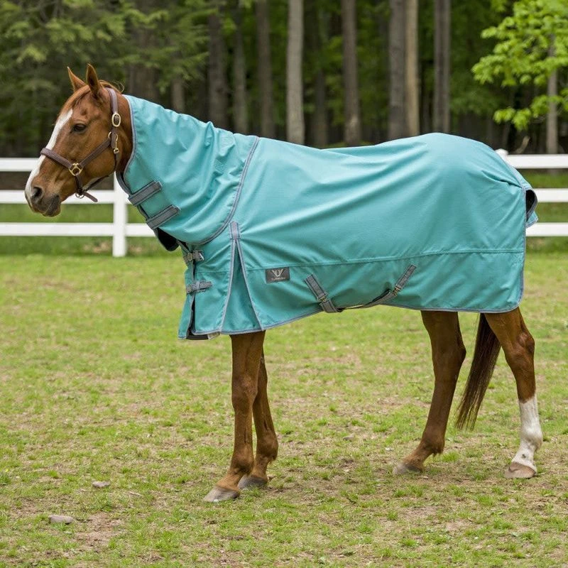 TuffRider 1200 D Comfy Detachable Neck Turnout Sheet - Turquoise 1 TuffRider 1200 D Comfy Detachable Neck Turnout Sheet - Turquoise