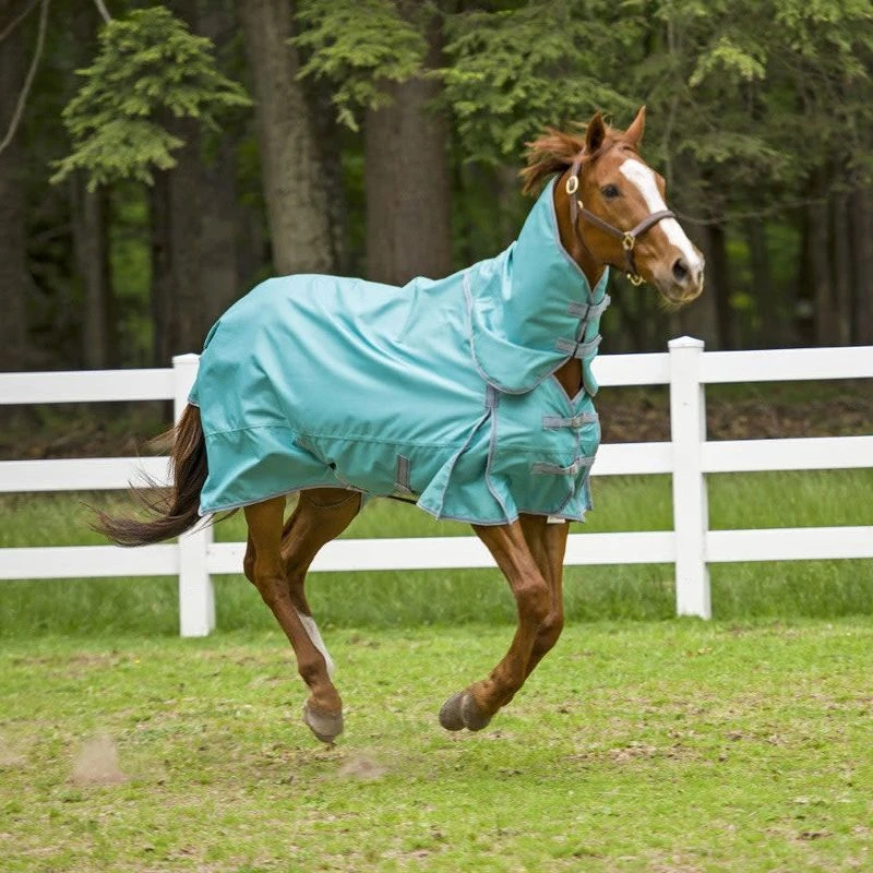 TuffRider 1200 D Comfy Detachable Neck Turnout Sheet - Turquoise 2 TuffRider 1200 D Comfy Detachable Neck Turnout Sheet - Turquoise - Image 2