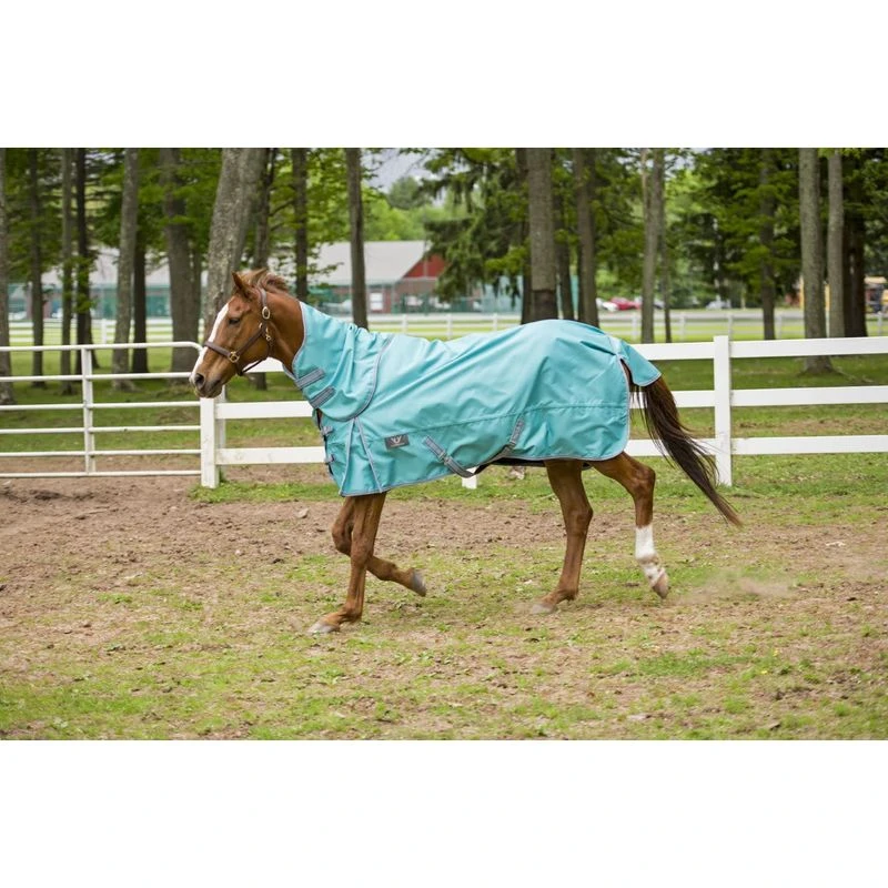 TuffRider 1200 D Comfy Detachable Neck Turnout Sheet - Turquoise 3 TuffRider 1200 D Comfy Detachable Neck Turnout Sheet - Turquoise - Image 3