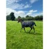 Amigo Ripstop 900D Foal Turnout 50g - Black/Classic Blue