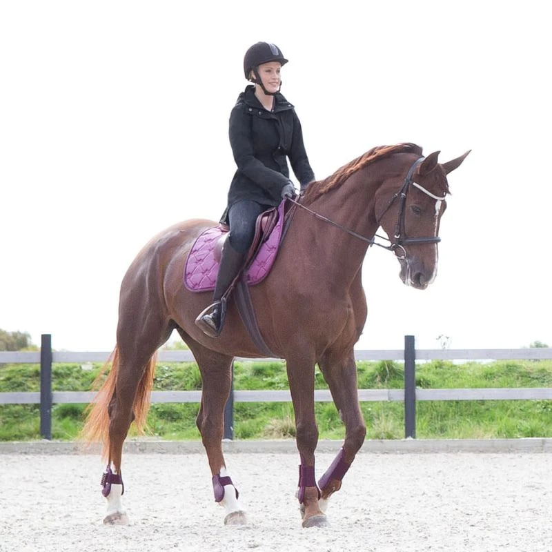 Horze Women's Jadine Waterproof Shell Jacket - Dark Navy 3 Horze Women's Jadine Waterproof Shell Jacket - Dark Navy - Image 3