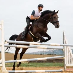 Horze Men's Grand Prix Full Seat Breeches - Black -Tack Of The Day Store 382121 800 800