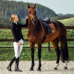 B Vertigo Women's Gabrielle Mesh Show Jacket - Black 8 B Vertigo Women's Gabrielle Mesh Show Jacket - Black -Tack Of The Day Store 384744 800 800