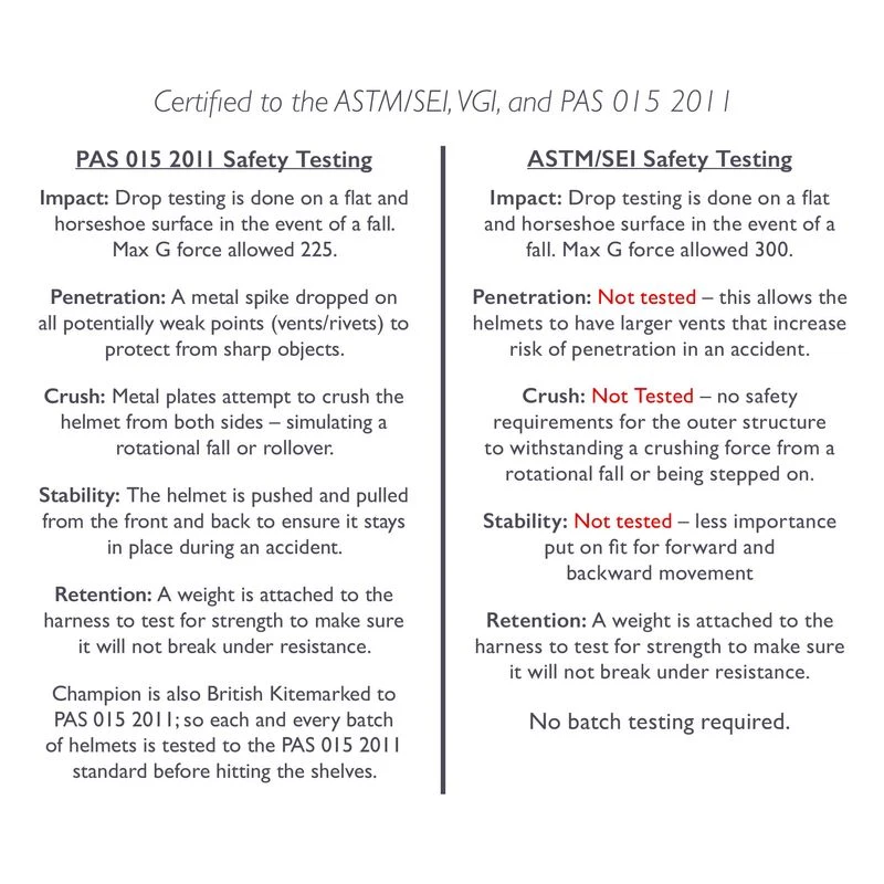 Champion Evolution Pearl Helmet - Black 4 Champion Evolution Pearl Helmet - Black - Image 4