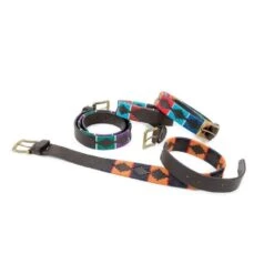 Shires Aubrion Women's Drover Polo Belt - Turquoise/Red/Orange/Blue