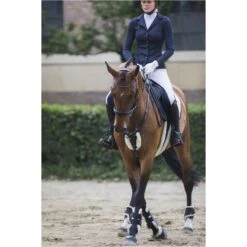 Cavalliera Women's Superior Show Jacket - Navy Blue 6 Cavalliera Women's Superior Show Jacket - Navy Blue -Tack Of The Day Store 455608 800 800