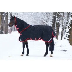 Rambo Supreme Turnout VeriLayer 450g - Black/Red