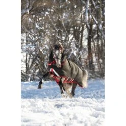 Rambo Supreme Turnout VeriLayer 450g - Black/Red 6 Rambo Supreme Turnout VeriLayer 450g - Black/Red -Tack Of The Day Store 473641 800 800