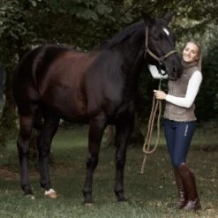 B Vertigo Women's Dianne Thermo Full Seat Breeches - Dark Navy -Tack Of The Day Store 476851 800 800