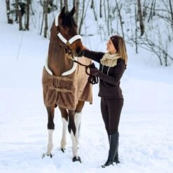 Horze Women's Rhea Full Seat Thermo Breeches W/Back Pockets - After Dark Brown 9 Horze Women's Rhea Full Seat Thermo Breeches W/Back Pockets - After Dark Brown -Tack Of The Day Store 477154 800 800