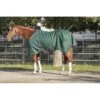 Kensington Signature Medium Weight Turnout - Hunter