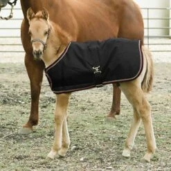 Kensington Signature Adjustable Foal Turnout - Black