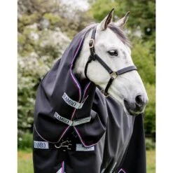 Rambo Supreme Hood 0g - Navy/ Burgundy/Dusty Blue/Navy