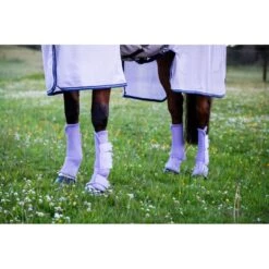 Amigo Flyboots - Lavender -Tack Of The Day Store 484951 800 800