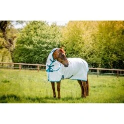 Amigo Summer Sheet Plus - Navy Check/Electric Blue/Navy