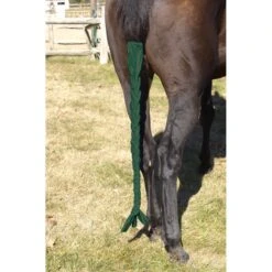 Centaur Spandex Braid-n-Tail Bag - Hunter Green