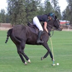 TuffRider Men's Technical Polo Pants - White -Tack Of The Day Store 500009 800 800