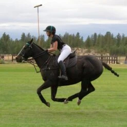 TuffRider Men's Technical Polo Pants - White -Tack Of The Day Store 500010 800 800
