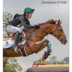 Tredstep Donatello III Field Boot - Black -Tack Of The Day Store 524639 800 800