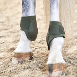 Horze Adepto Fetlock Boots - Beetle Khaki Green -Tack Of The Day Store 532764 800 800