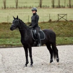 Horze Adepto Fetlock Boots - Black 7 Horze Adepto Fetlock Boots - Black -Tack Of The Day Store 533529 800 800