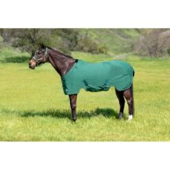 Kensington SureFit Poly Cotton Stable Sheet - Hunter