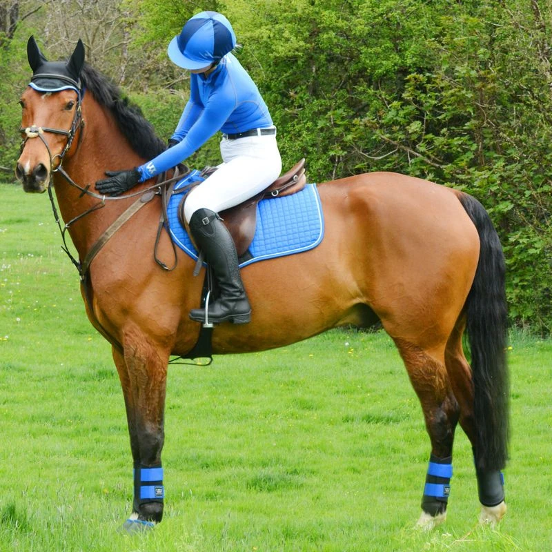 Woof Wear Women's Performance Quarter Zip Riding Shirt - Electric Blue 2 Woof Wear Women's Performance Quarter Zip Riding Shirt - Electric Blue - Image 2