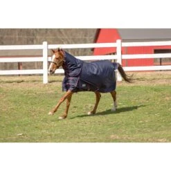 TuffRider 1200 D Comfy Detachable Neck Winter Turnout Blanket 200g - Navy