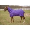 TuffRider 600 D Comfy Winter Combo Neck Turnout Blanket 200g - Purple