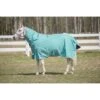 TuffRider 1200 D Comfy Detachable Neck Winter Turnout Blanket 200g - Turquoise