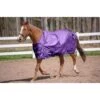 TuffRider 600 D Comfy Winter Standard Neck Turnout Sheet 0g - Purple