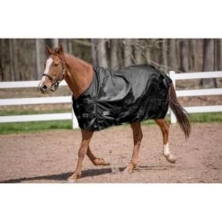 TuffRider 600 D Comfy Winter Standard Neck Turnout Sheet 0g - Black