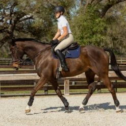 Equinavia Women's Ingrid Short Sleeved Show Shirt - White -Tack Of The Day Store 552199 800 800