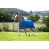 Shires Tempest Original Lite Turnout - Teal