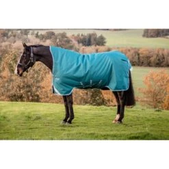 Amigo Bravo 12 Wug Turnout 0g - Storm Green/Turquoise/Aqua