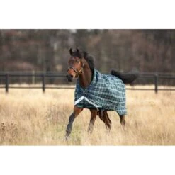 Rhino Wug Heavy VariLayer Turnout - Hunter Check/Navy/Green 5 Rhino Wug Heavy VariLayer Turnout - Hunter Check/Navy/Green -Tack Of The Day Store 556447 800 800