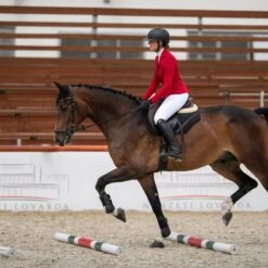 Cavalliera Women's Primetime Show Jacket - Ruby Red 8 Cavalliera Women's Primetime Show Jacket - Ruby Red -Tack Of The Day Store 559135 800 800