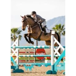 Kerrits Women's Affinity Aero Show Coat - Shadow -Tack Of The Day Store 570242 800 800