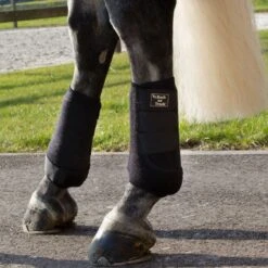Back On Track Royal Exercise Boots W/Shock Absorbent Pad - Black -Tack Of The Day Store 575762 800 800
