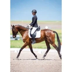 Kerrits Women's Crossover II Full Seat Breeches - White 16 Kerrits Women's Crossover II Full Seat Breeches - White -Tack Of The Day Store 577464 800 800